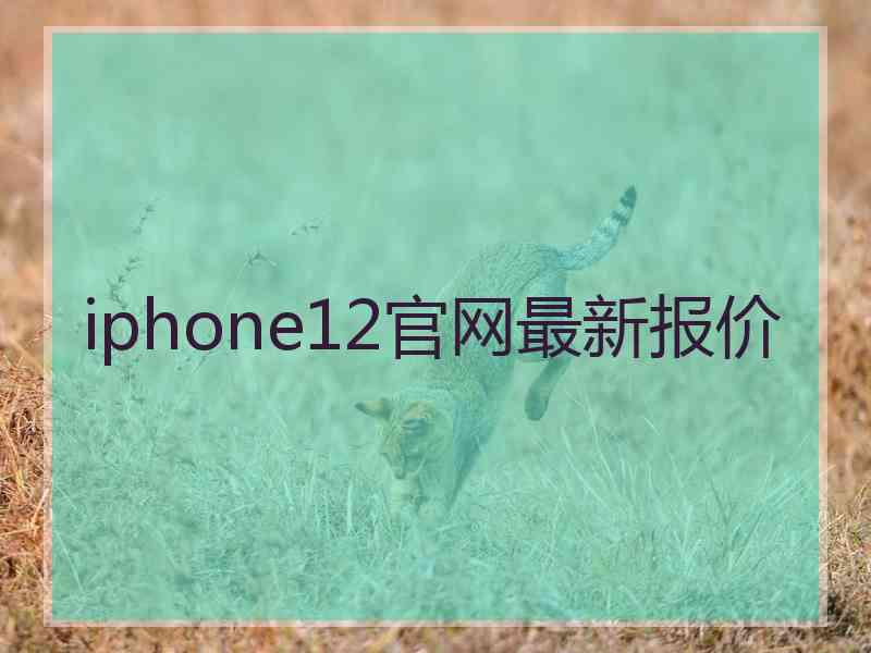 iphone12官网最新报价