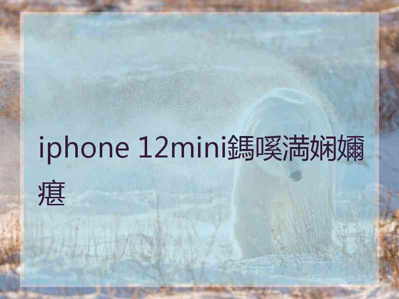 iphone 12mini鎷嗘満娴嬭瘎