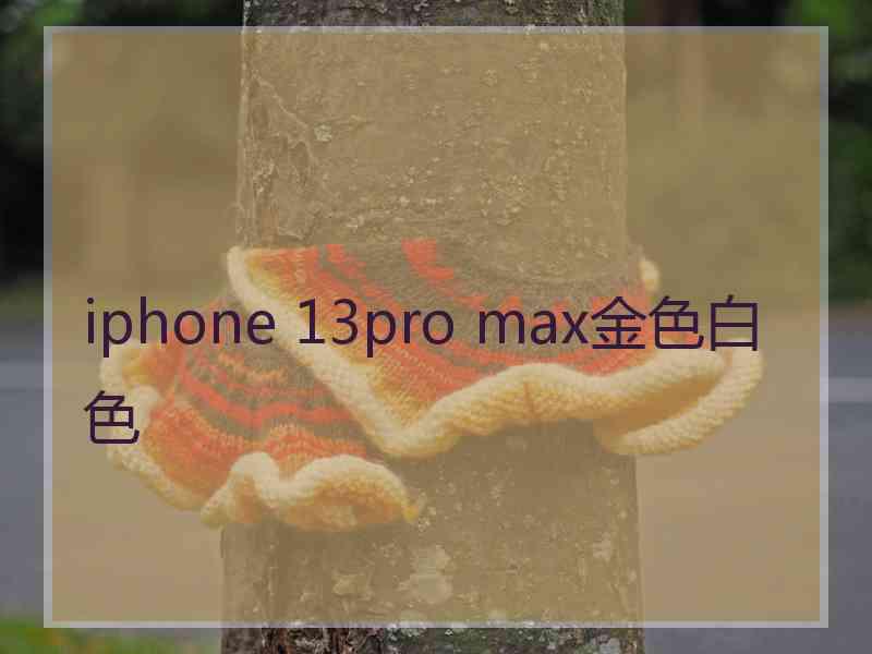 iphone 13pro max金色白色