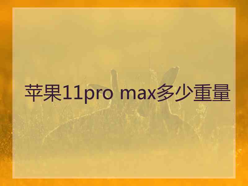 苹果11pro max多少重量