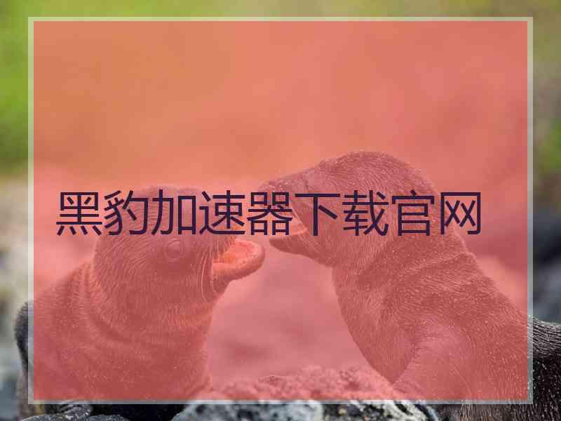 黑豹加速器下载官网