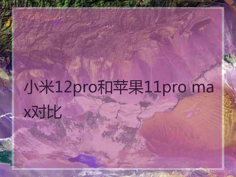 小米12pro和苹果11pro max对比