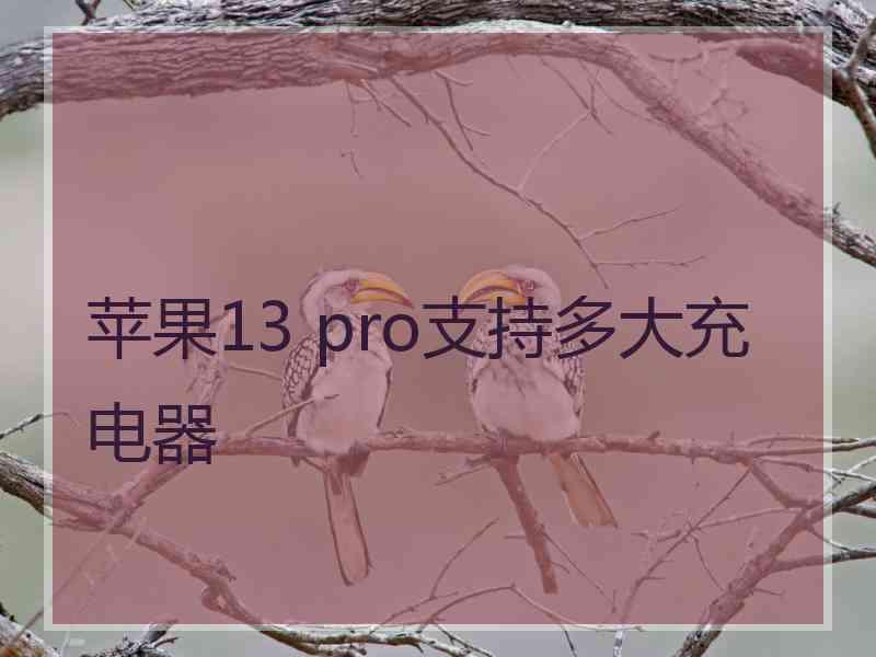 苹果13 pro支持多大充电器