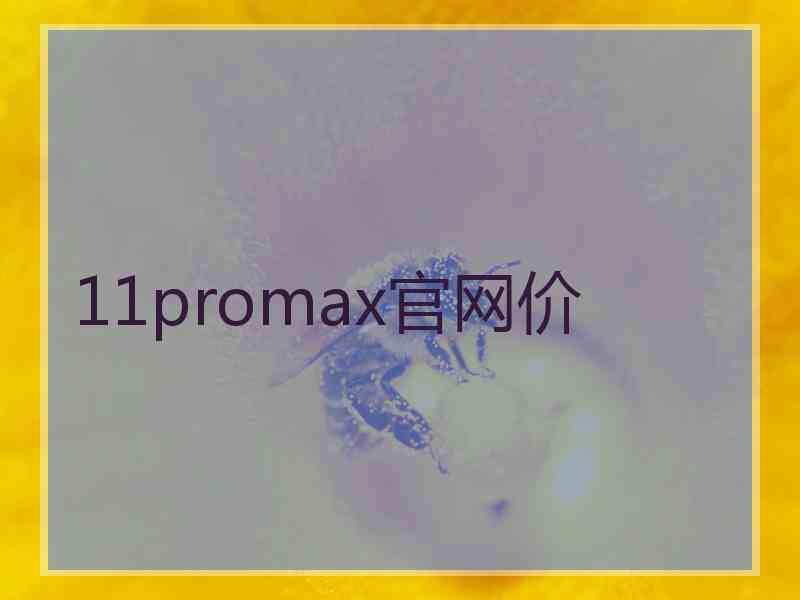 11promax官网价