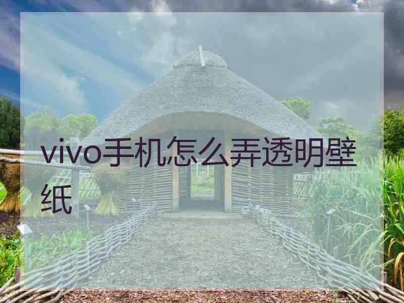 vivo手机怎么弄透明壁纸