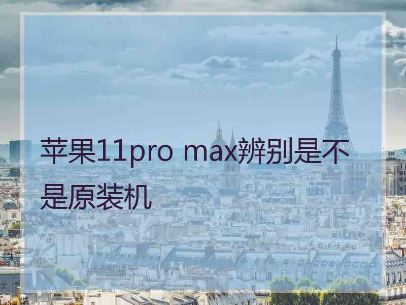 苹果11pro max辨别是不是原装机