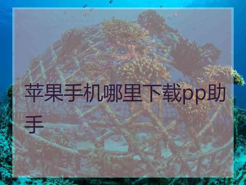 苹果手机哪里下载pp助手