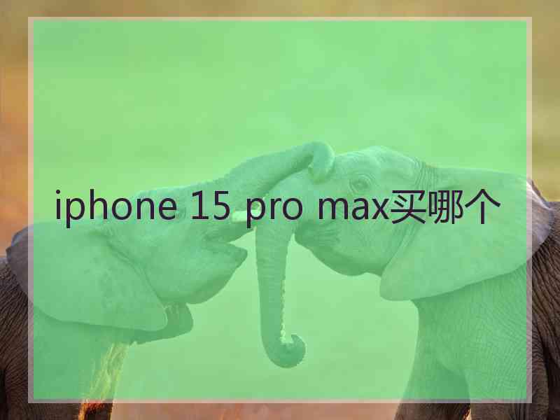 iphone 15 pro max买哪个