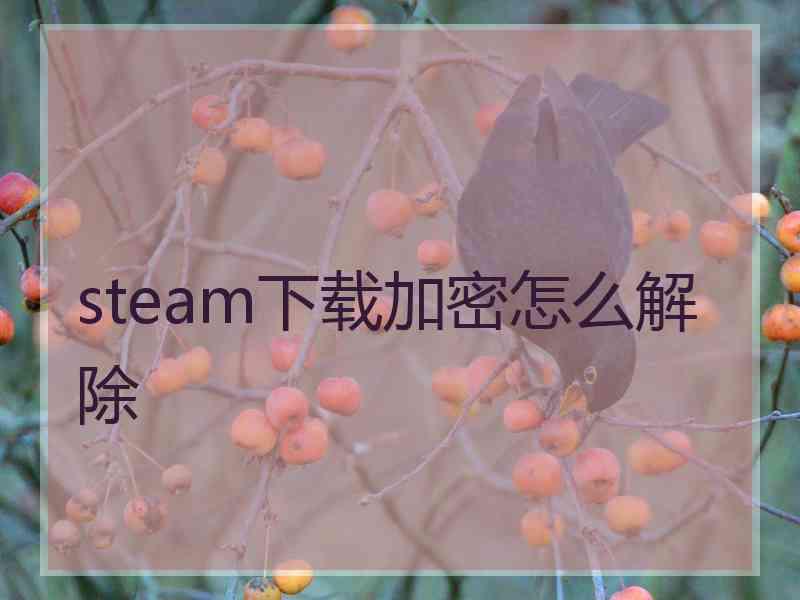 steam下载加密怎么解除