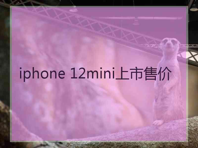 iphone 12mini上市售价