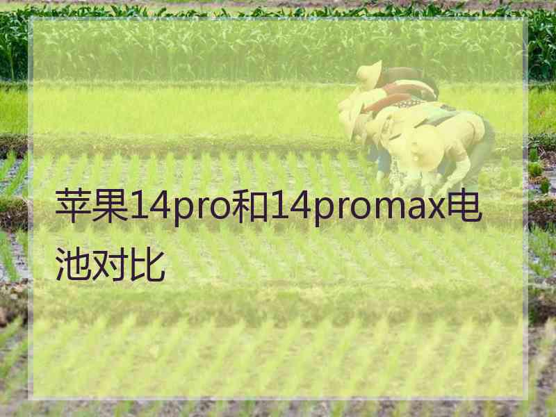 苹果14pro和14promax电池对比