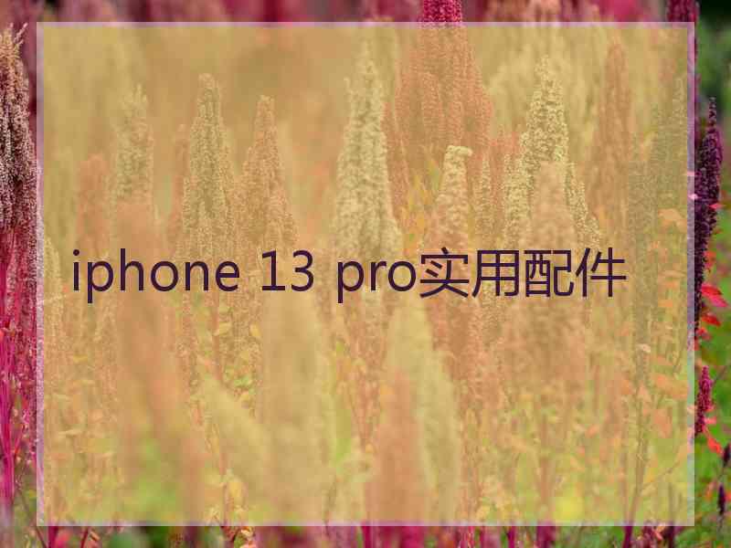 iphone 13 pro实用配件