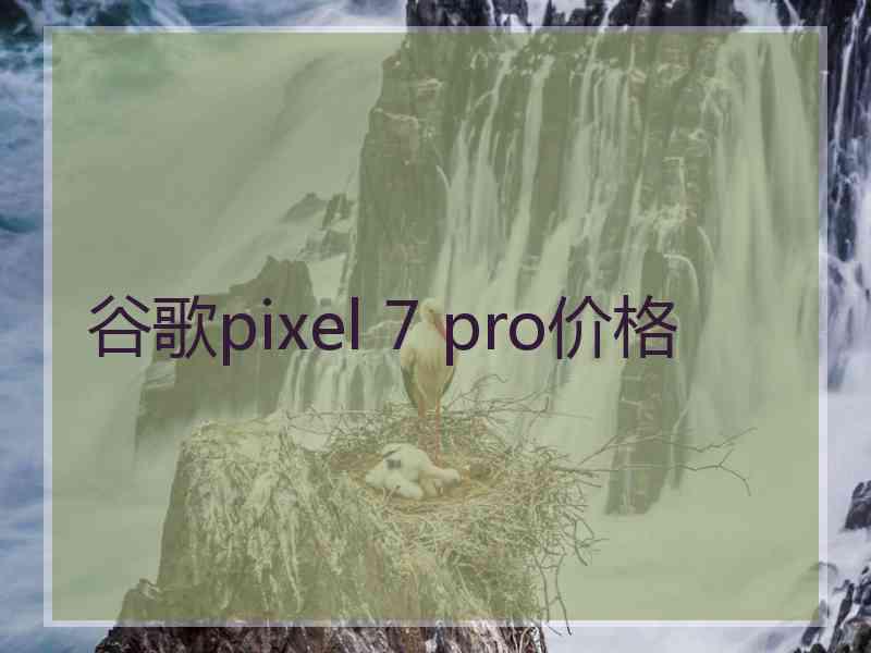 谷歌pixel 7 pro价格