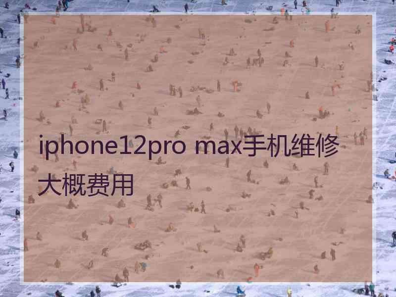 iphone12pro max手机维修大概费用