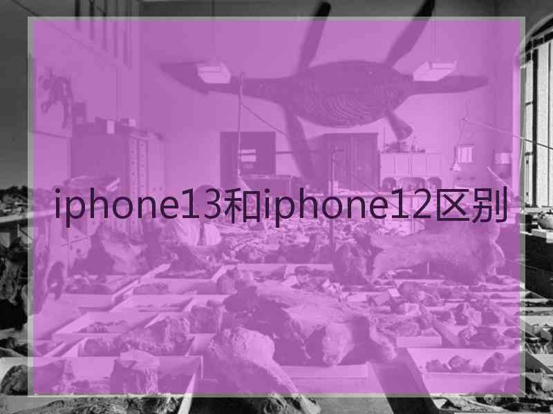 iphone13和iphone12区别