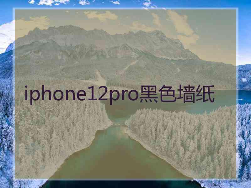 iphone12pro黑色墙纸