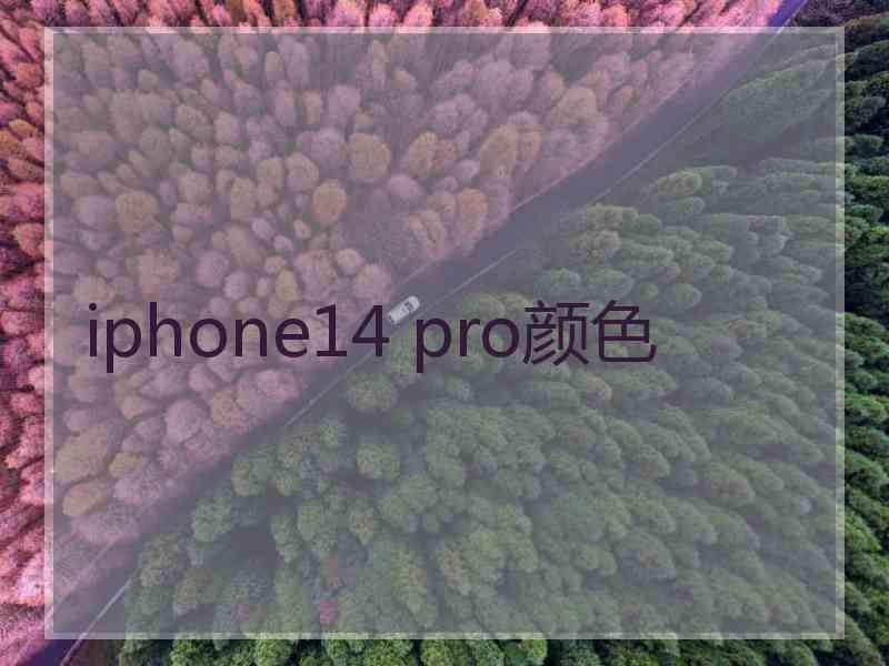 iphone14 pro颜色