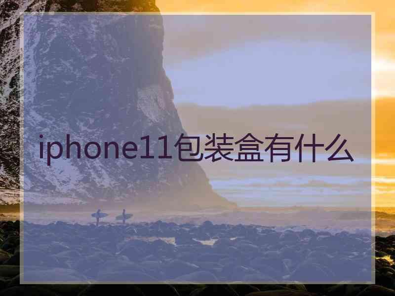 iphone11包装盒有什么