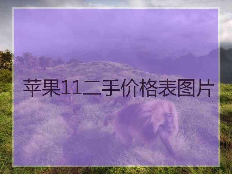 苹果11二手价格表图片