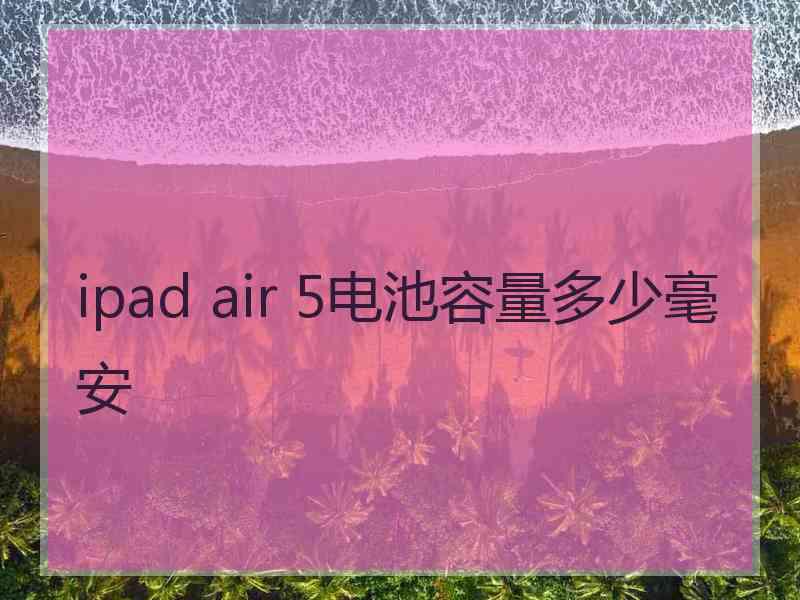 ipad air 5电池容量多少毫安