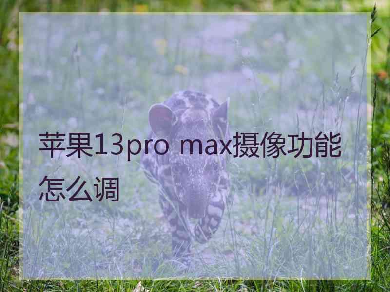 苹果13pro max摄像功能怎么调