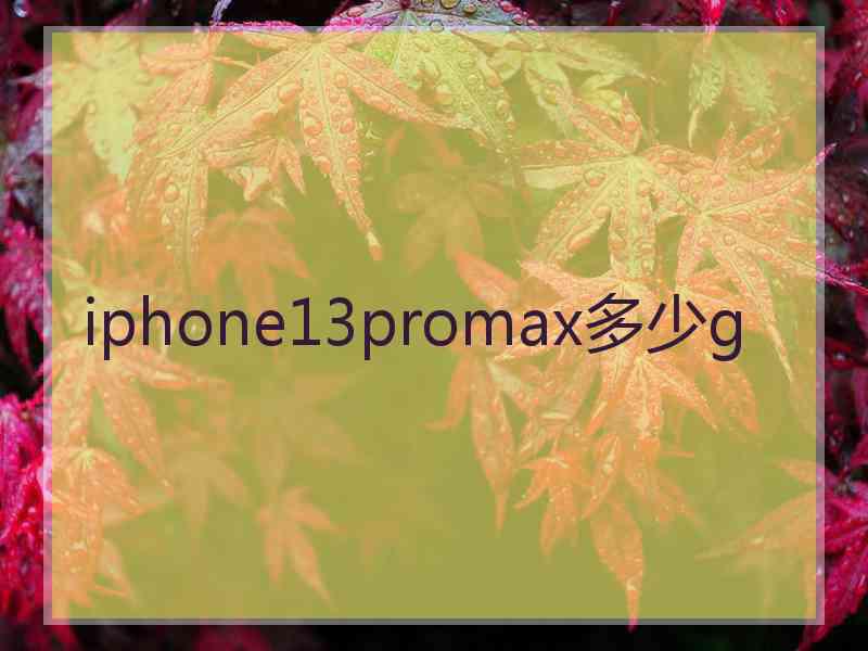 iphone13promax多少g