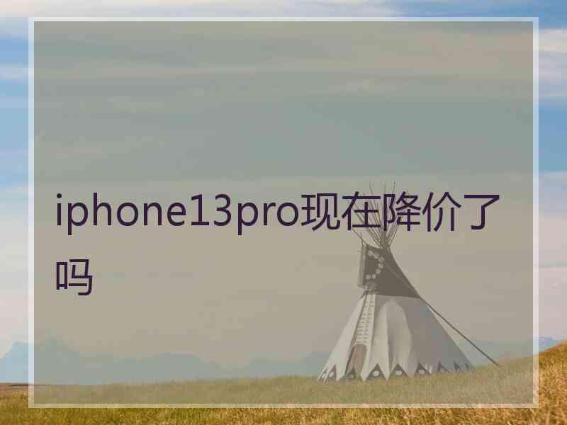 iphone13pro现在降价了吗