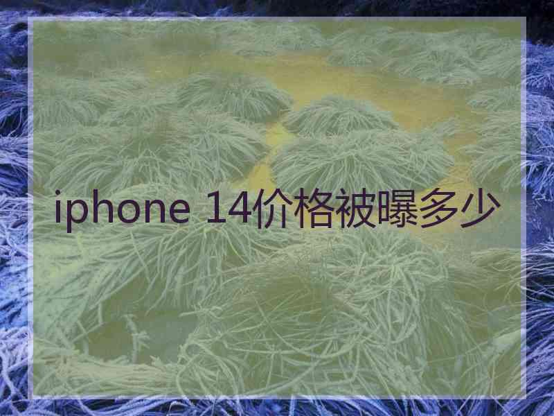 iphone 14价格被曝多少