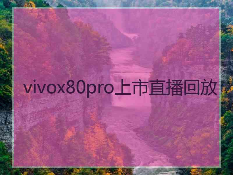 vivox80pro上市直播回放