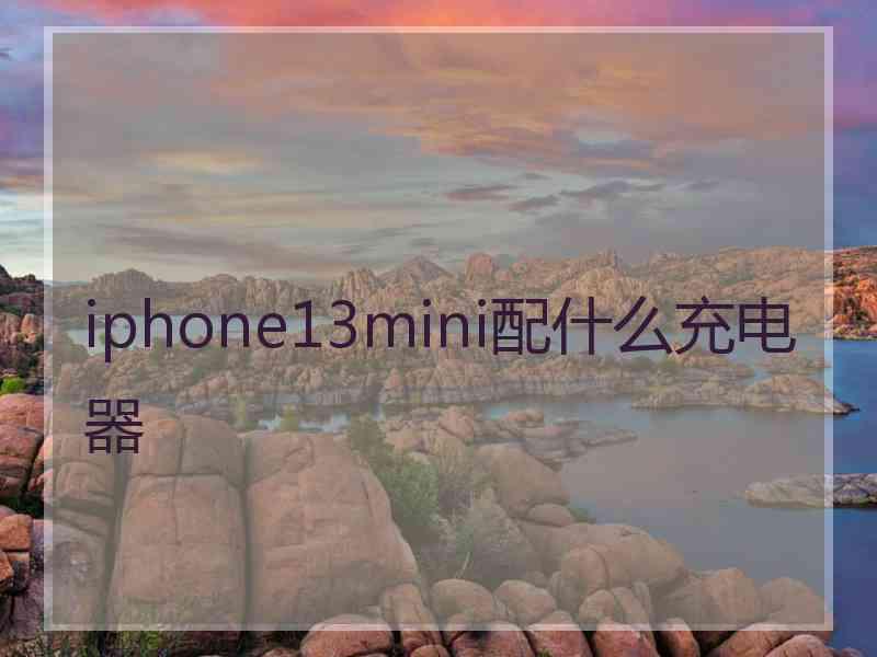 iphone13mini配什么充电器