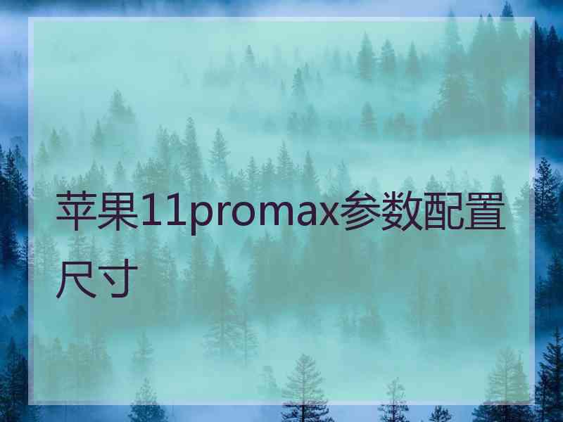 苹果11promax参数配置尺寸