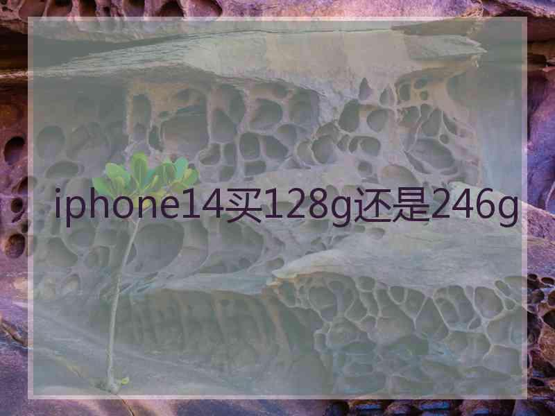 iphone14买128g还是246g