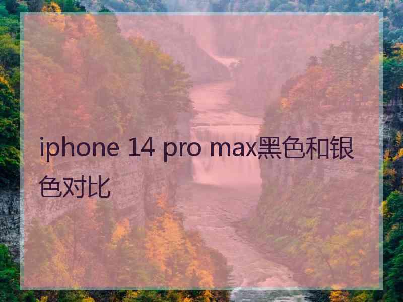 iphone 14 pro max黑色和银色对比