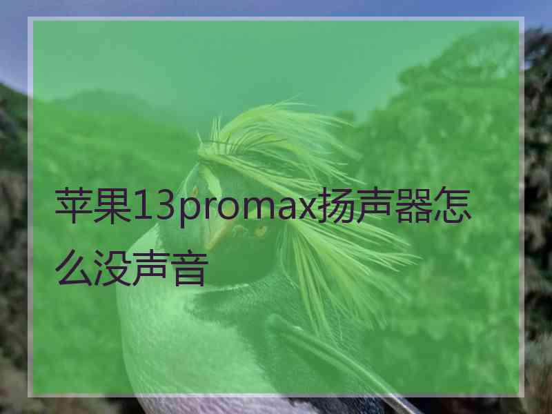 苹果13promax扬声器怎么没声音