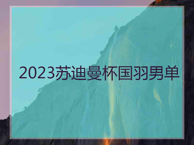 2023苏迪曼杯国羽男单