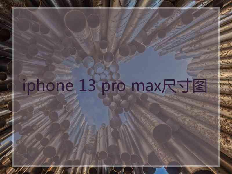 iphone 13 pro max尺寸图