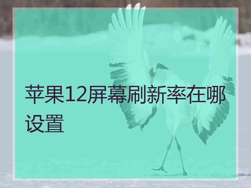 苹果12屏幕刷新率在哪设置