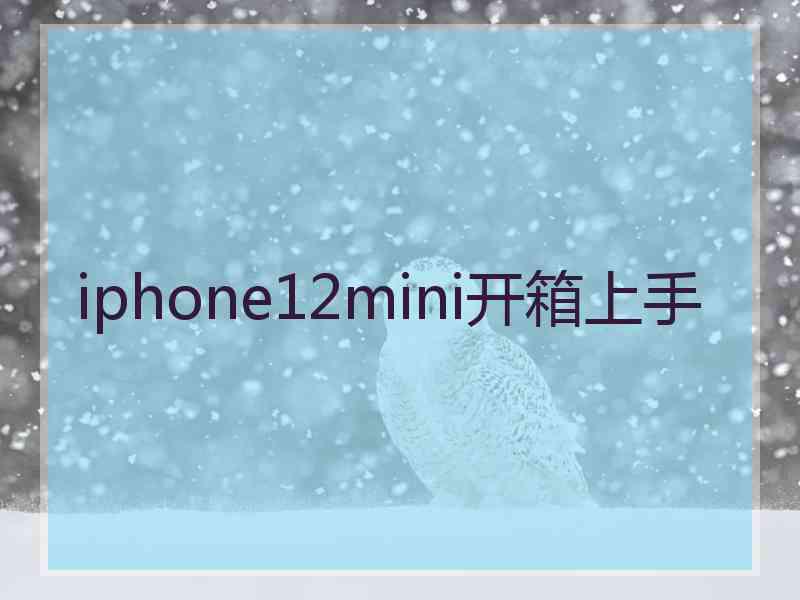 iphone12mini开箱上手