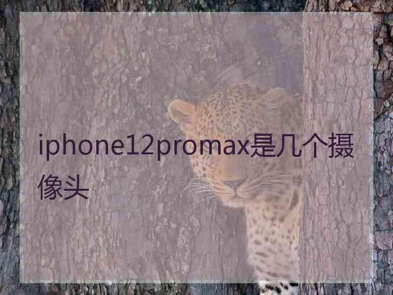 iphone12promax是几个摄像头