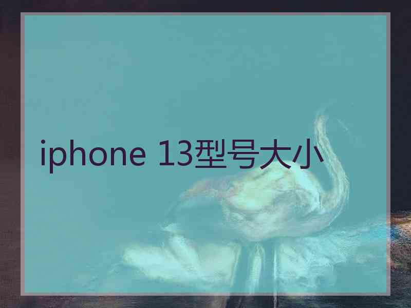 iphone 13型号大小