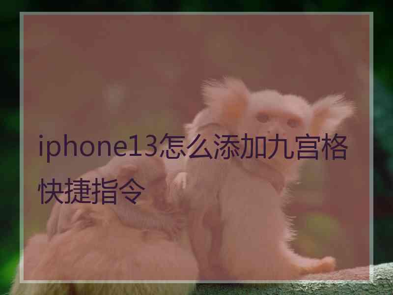 iphone13怎么添加九宫格快捷指令