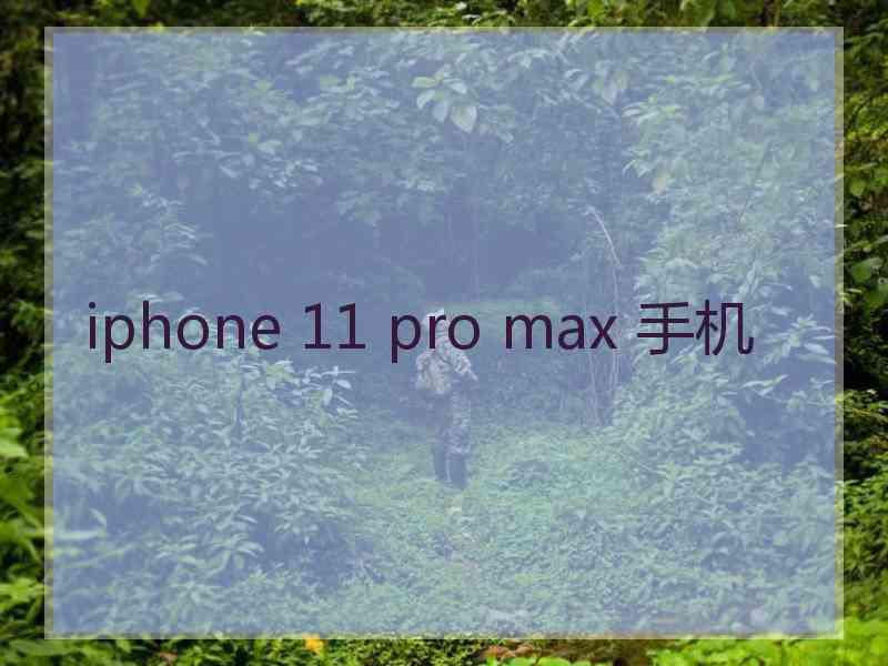 iphone 11 pro max 手机