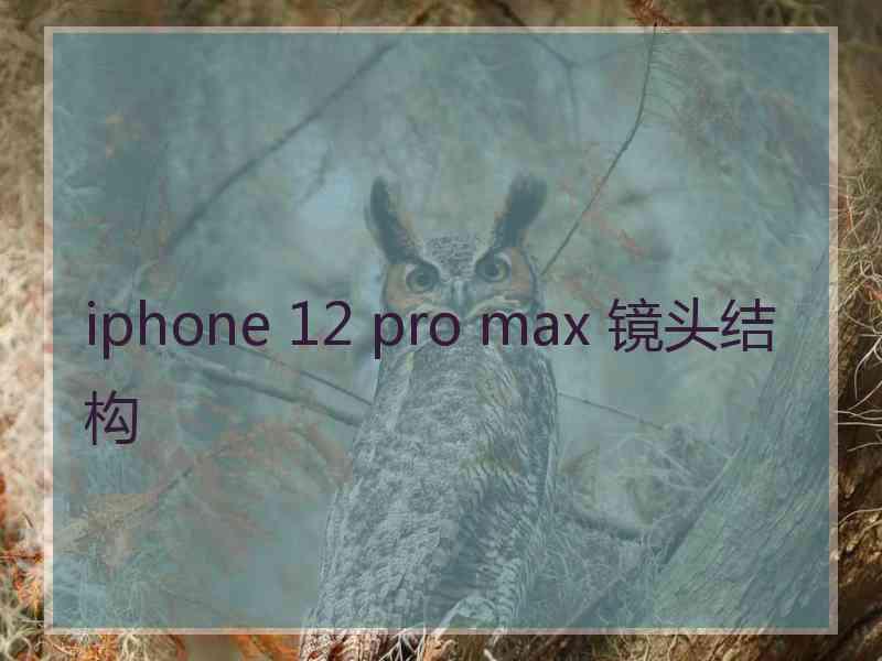 iphone 12 pro max 镜头结构