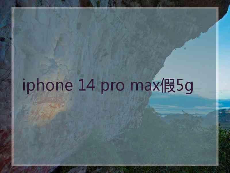 iphone 14 pro max假5g