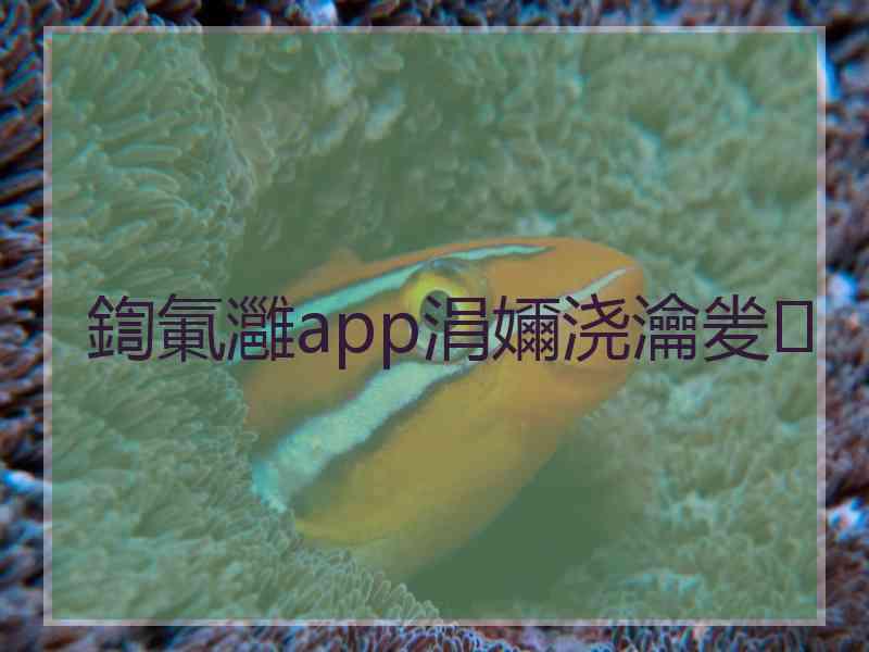 鍧氭灉app涓嬭浇瀹夎