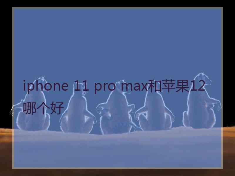 iphone 11 pro max和苹果12哪个好