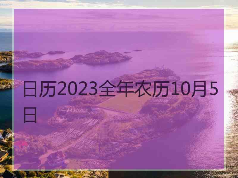 日历2023全年农历10月5日