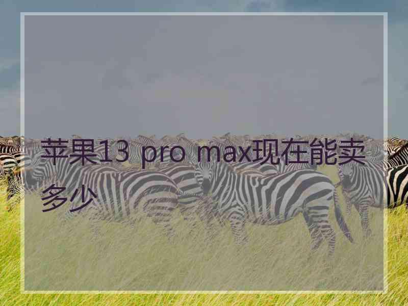 苹果13 pro max现在能卖多少