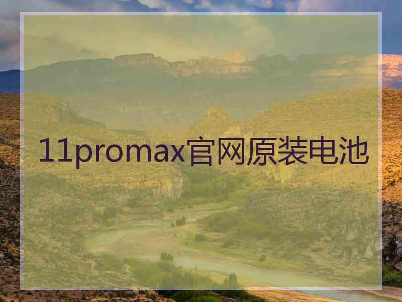 11promax官网原装电池