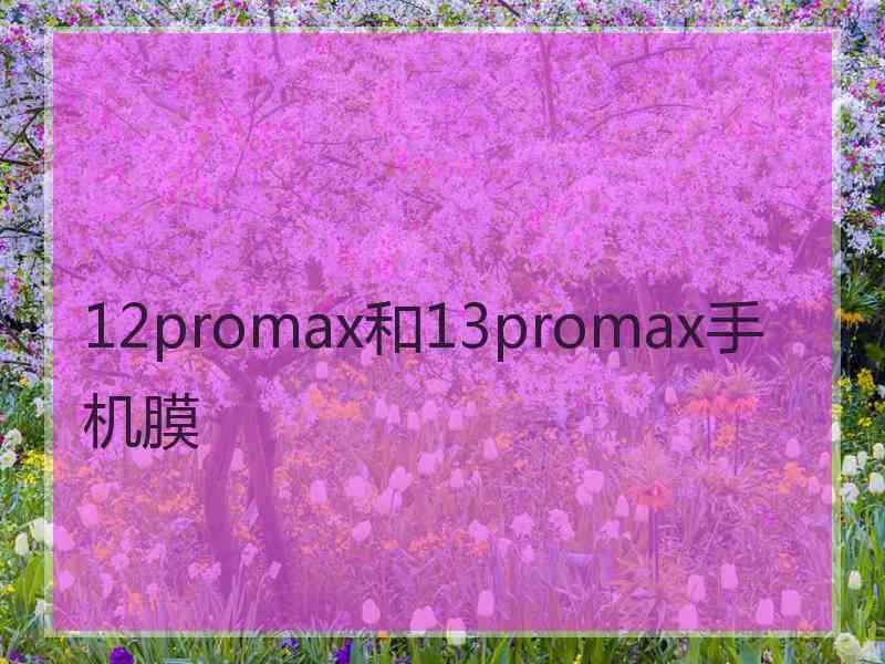 12promax和13promax手机膜